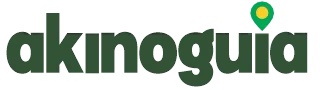 AKINOGUIA | TÁ FACIL, TÁ ONLINE, TÁ NO AKINOGUIA.